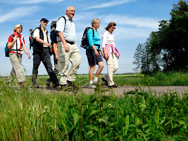 wandelende -groep